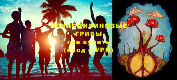 амф Переславль-Залесский