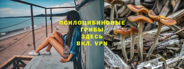 марки nbome Алзамай